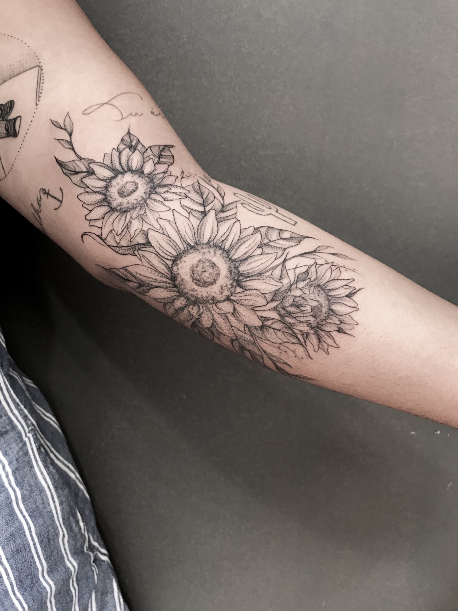 1ovu15y4esay4bv9k2p22dg 1ovu15y4esay4bv9k2p22dg