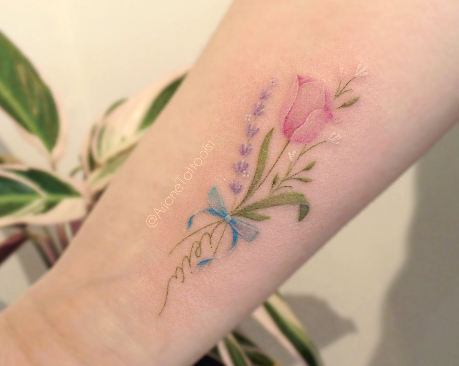 1oygdombazn-dfk0p-ngc6q 1oygdombazn dfk0p ngc6q