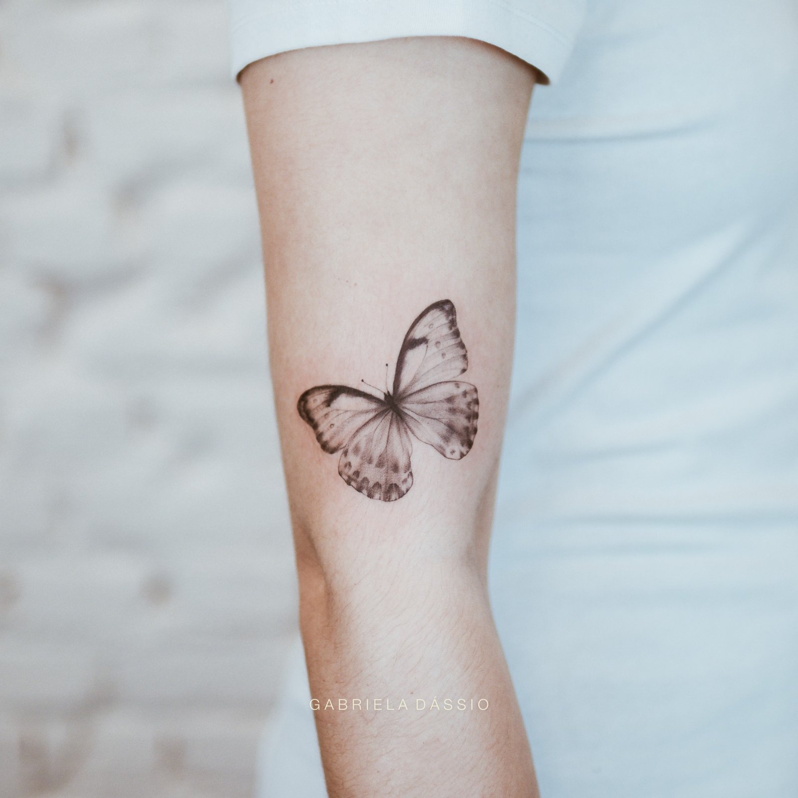 1p41hbicdkk2odv1dp1qyza 1p41hbicdkk2odv1dp1qyza