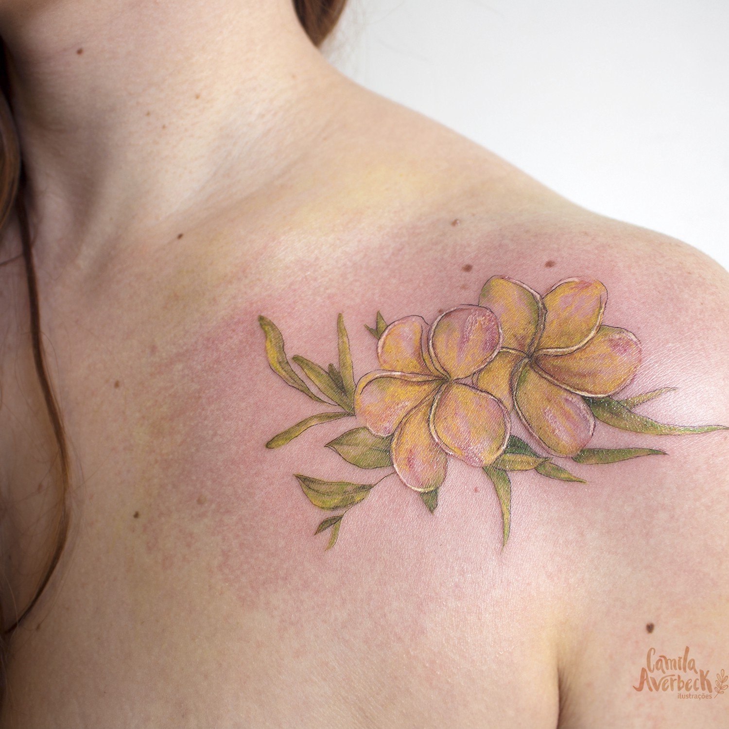 1paytz7wkwyv6r8jmn9ccia 1paytz7wkwyv6r8jmn9ccia