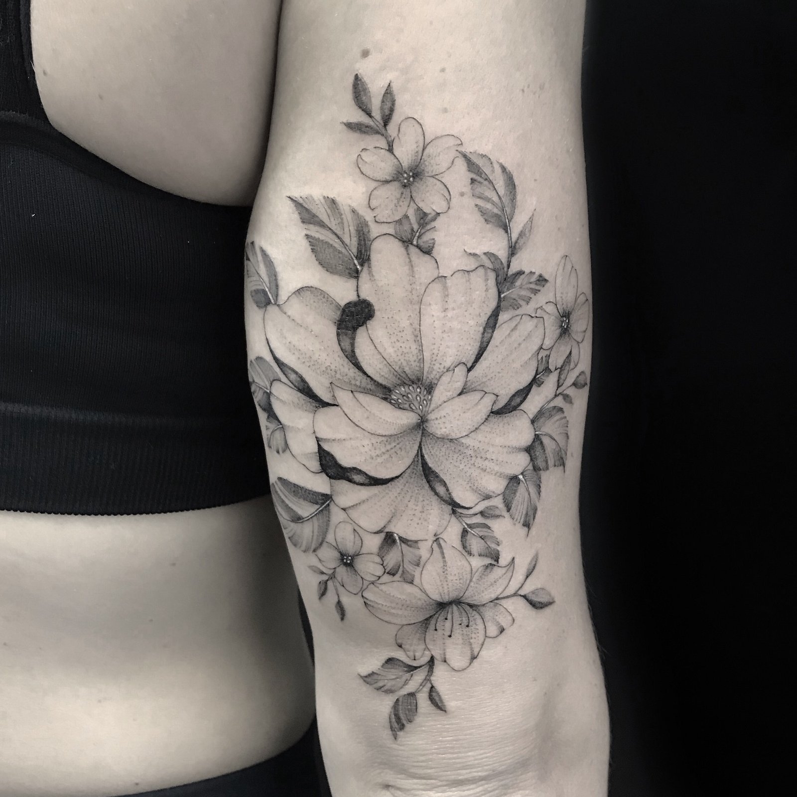 1pbhtwcjppujlhpcixplbow