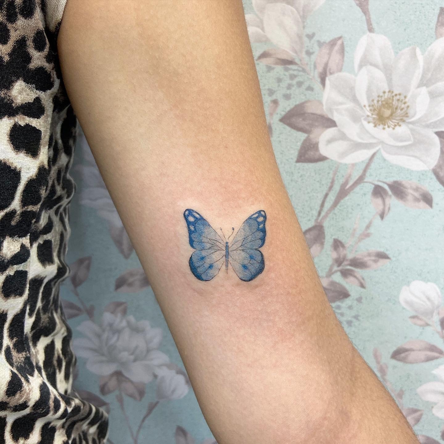 1ph8z7vpnr2sevhnilqqxaw