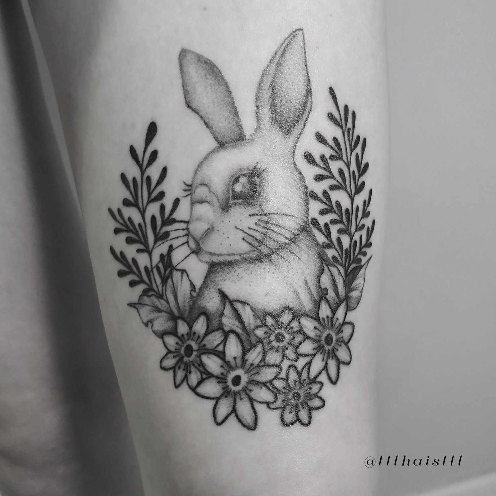 1pmvv1zvuzggfs5j4gvrdag 1pmvv1zvuzggfs5j4gvrdag