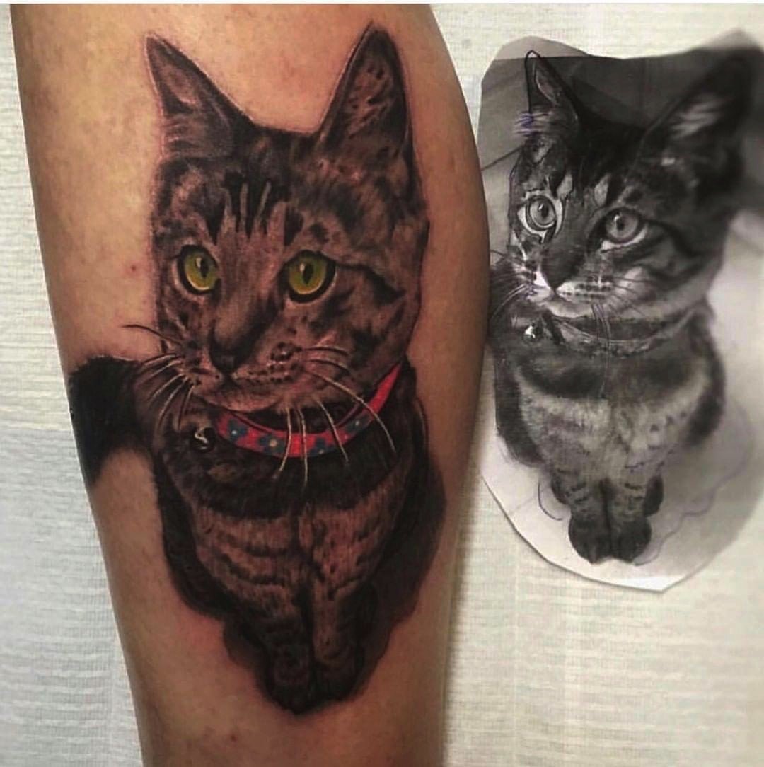 1pr1krvldognl8x9hady_3q