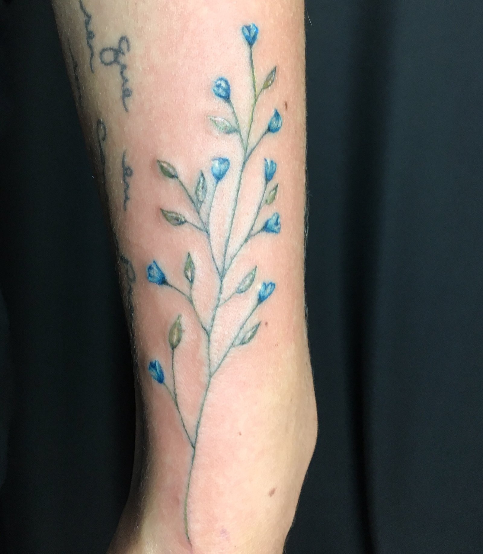 1pwl6ionozgzhzu0zt9hw1g 1pwl6ionozgzhzu0zt9hw1g