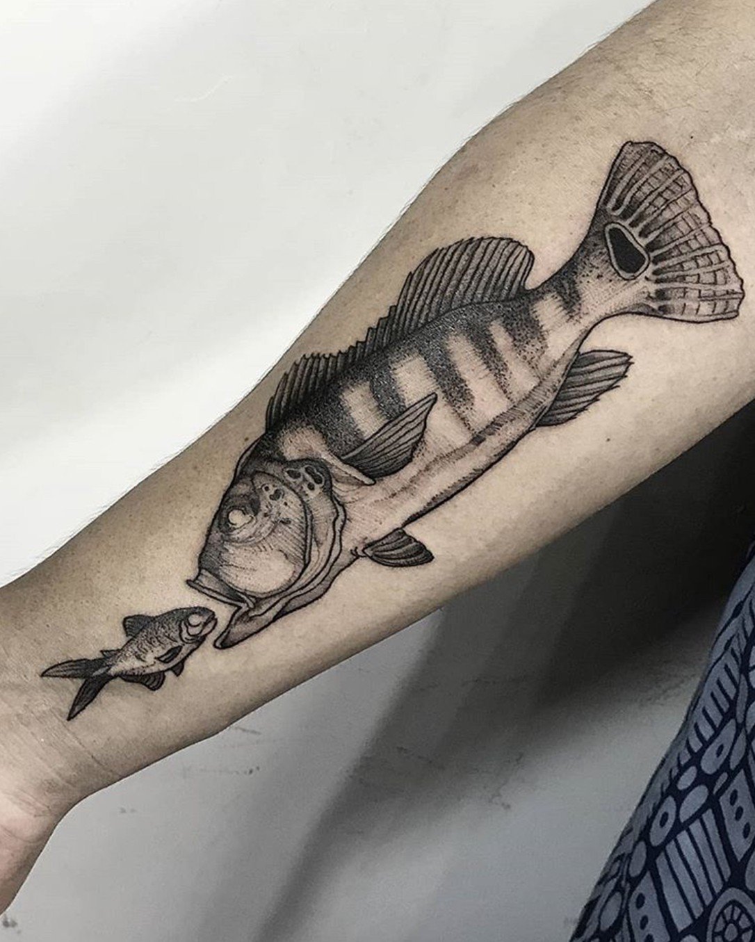 1r-bteczmrixsv_pi2evjtq 1r