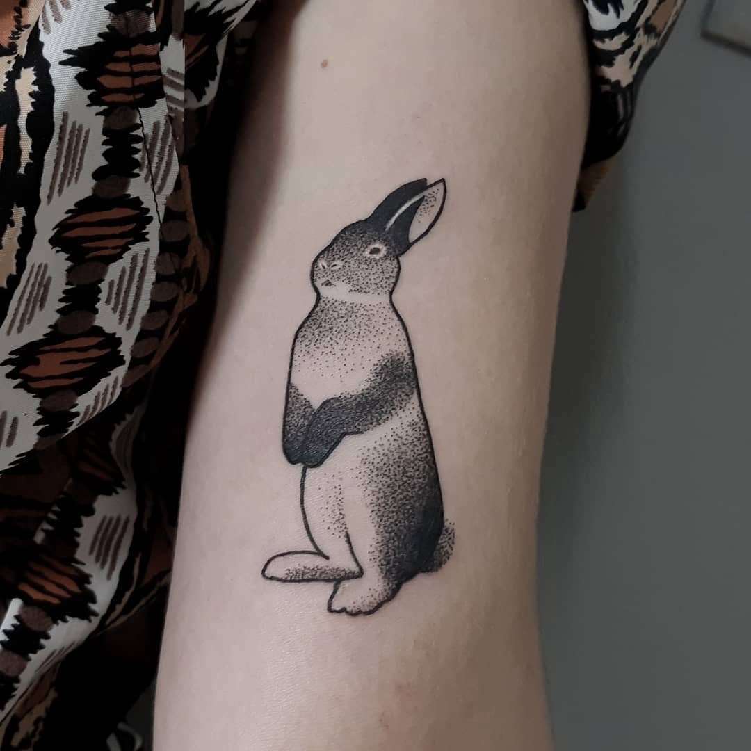 1rf2xxriddw5qfk-zplg1fg 1rf2xxriddw5qfk zplg1fg