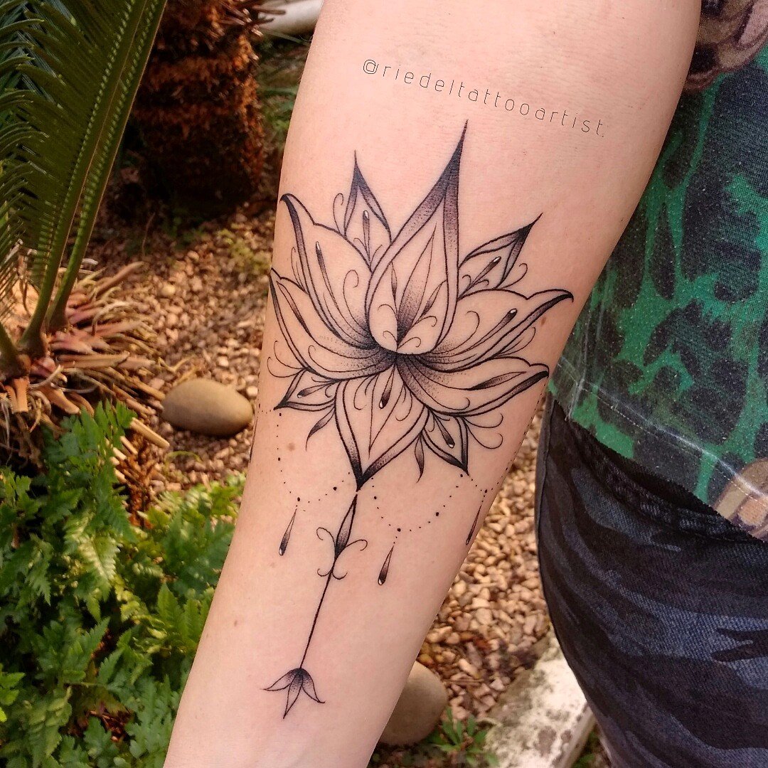 1rf6ndlzv0fqg3ximjokvga