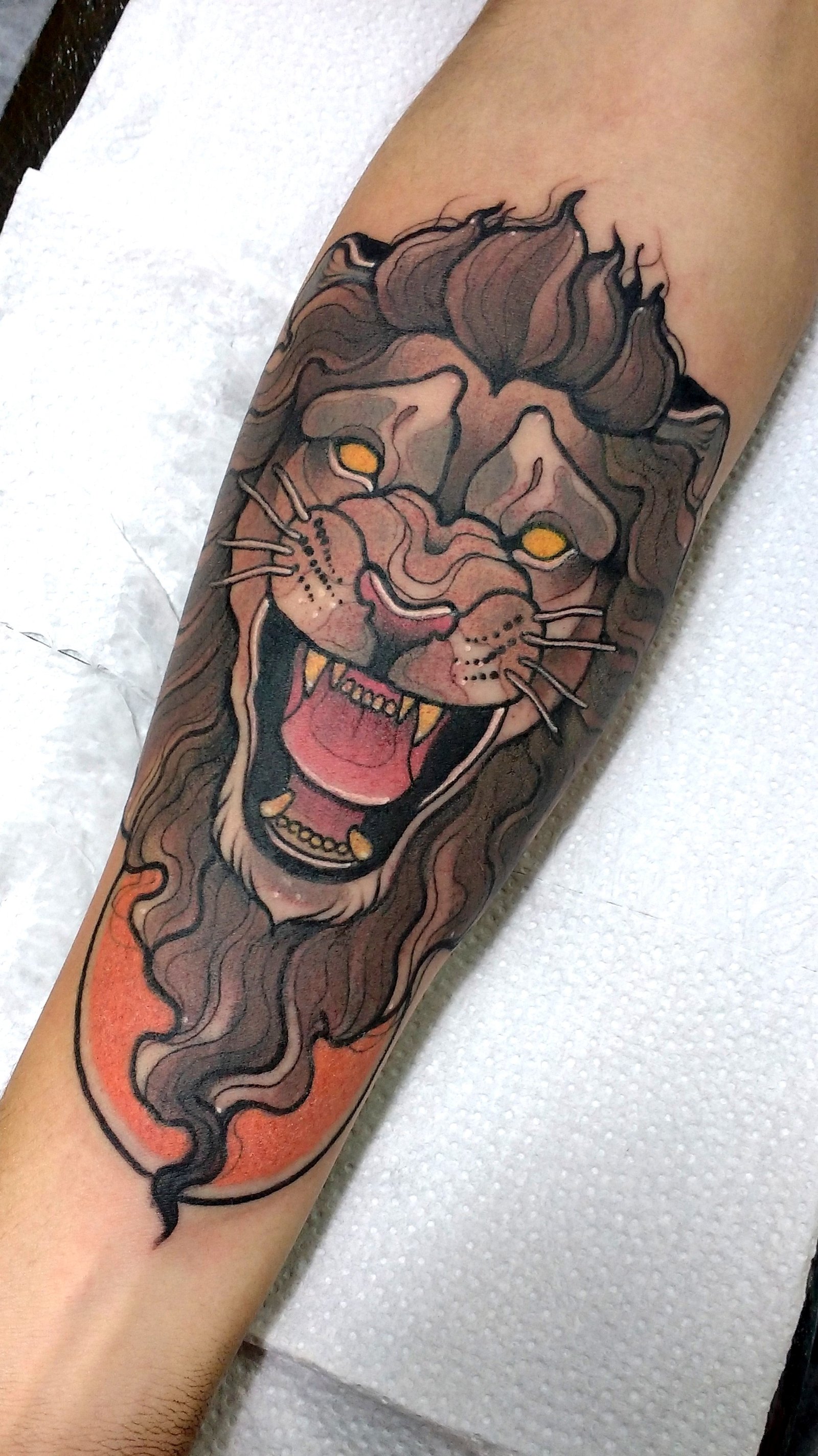 1sfgjzcedqoznvtxhmwkd6a