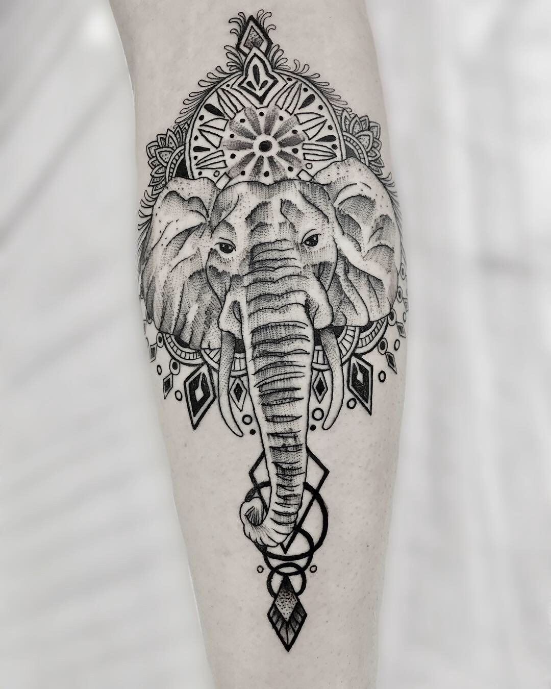 1sltchlli88 02csf3i5hyq