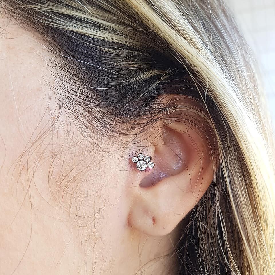 1t02ne99ay0hgoglhxqlf1w