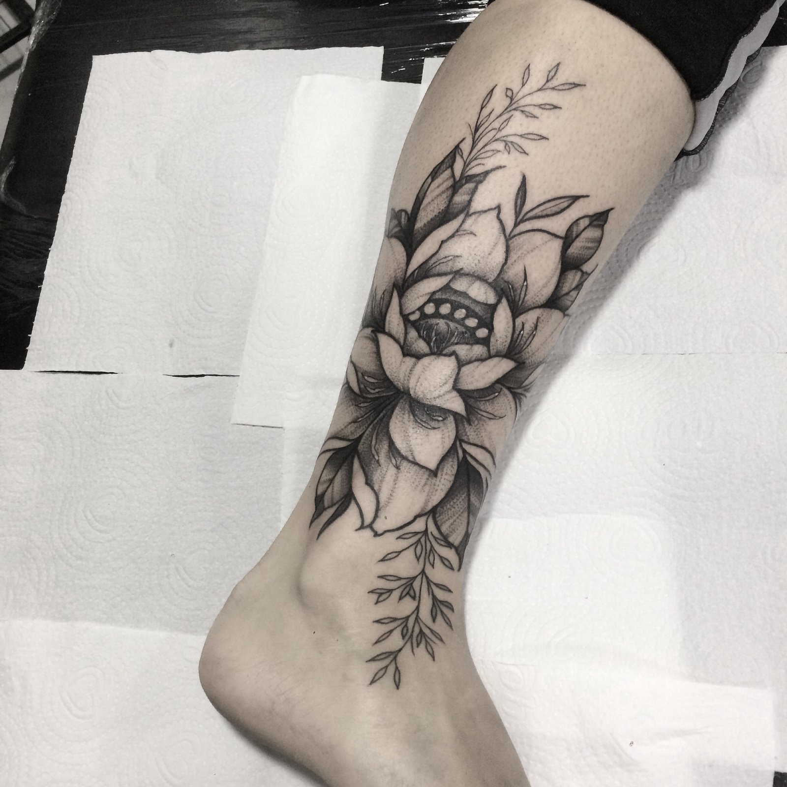 1t1kzz6q3qr6kqnnfdnslfg 1t1kzz6q3qr6kqnnfdnslfg