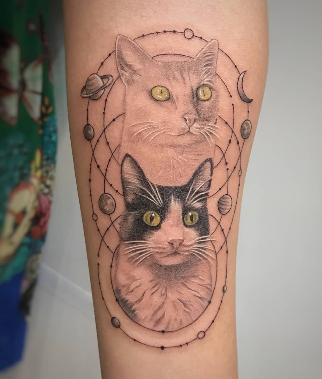 1t3sbpovhltg7z6y1xss12a