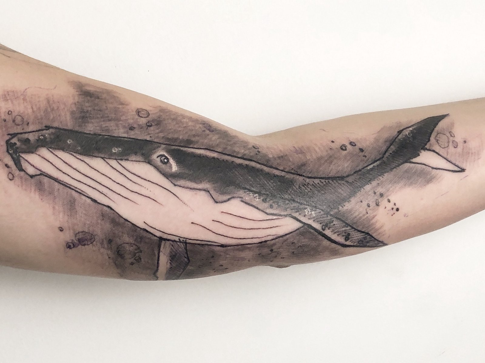 1u_dmnlpfzknv-fe56pnfkw 1u dmnlpfzknv fe56pnfkw