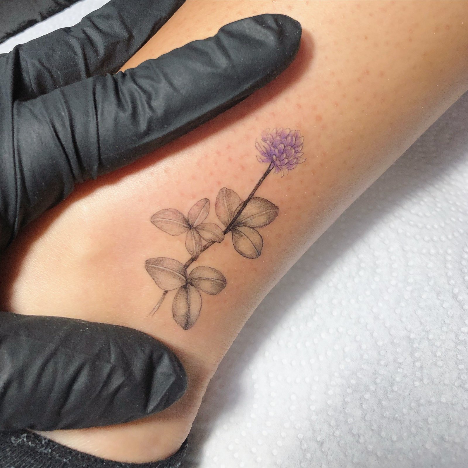 1ut-ti5oey0k19d3h3ldfpq 1ut ti5oey0k19d3h3ldfpq