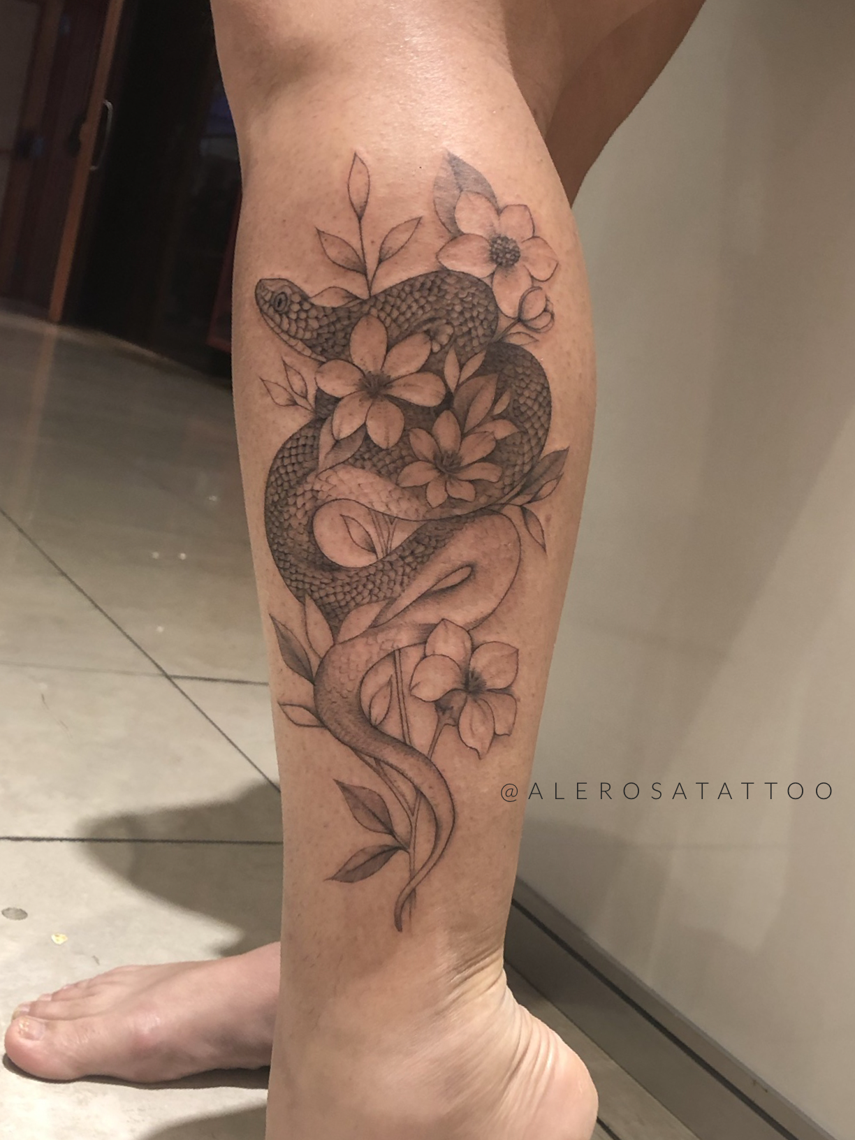 1vdzvcyefy-o-v5gc0v67tg 1vdzvcyefy o v5gc0v67tg