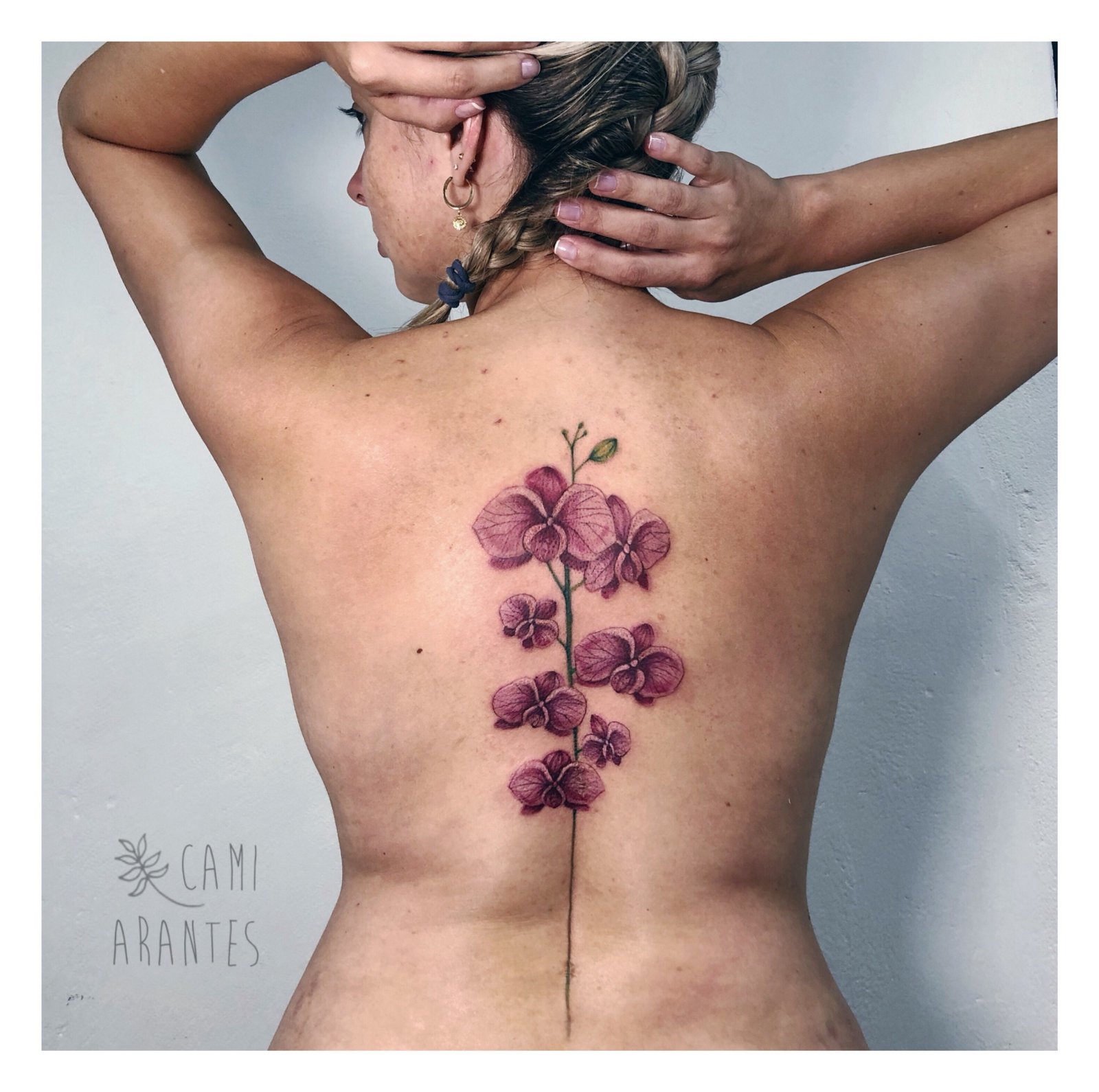 1veb8jr3e9woptqmuxxtppg