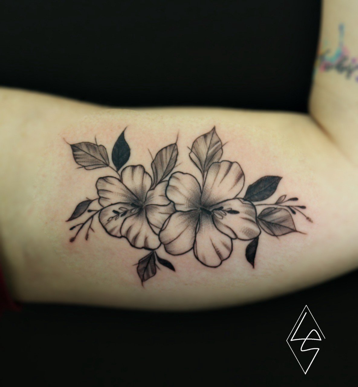 1vggyjrmtrdsilisrirdbsw 1vggyjrmtrdsilisrirdbsw