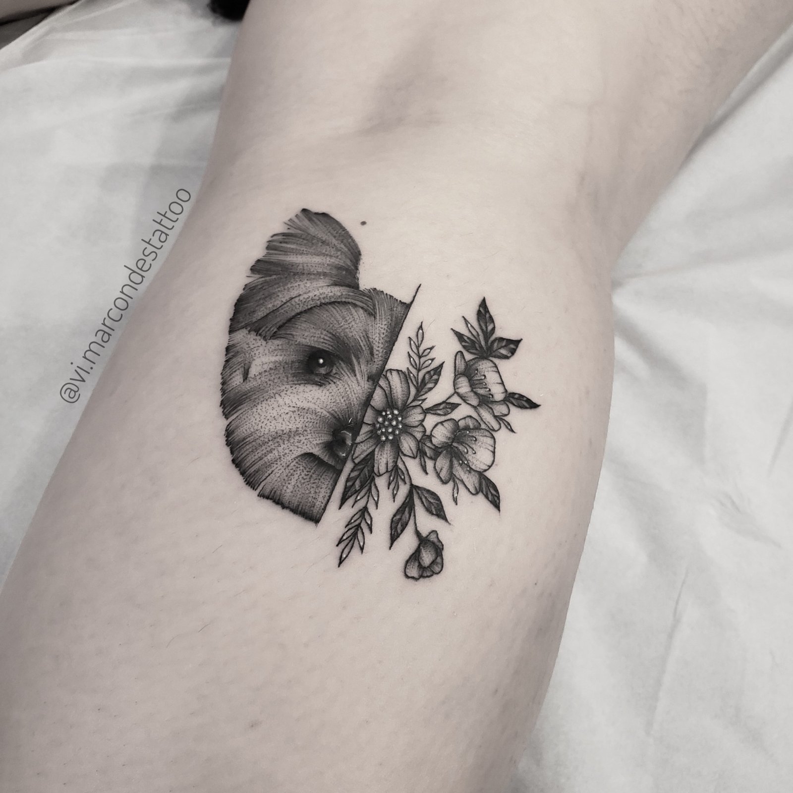 1vhrnrzvc89rblzwv7lmc3g 1vhrnrzvc89rblzwv7lmc3g