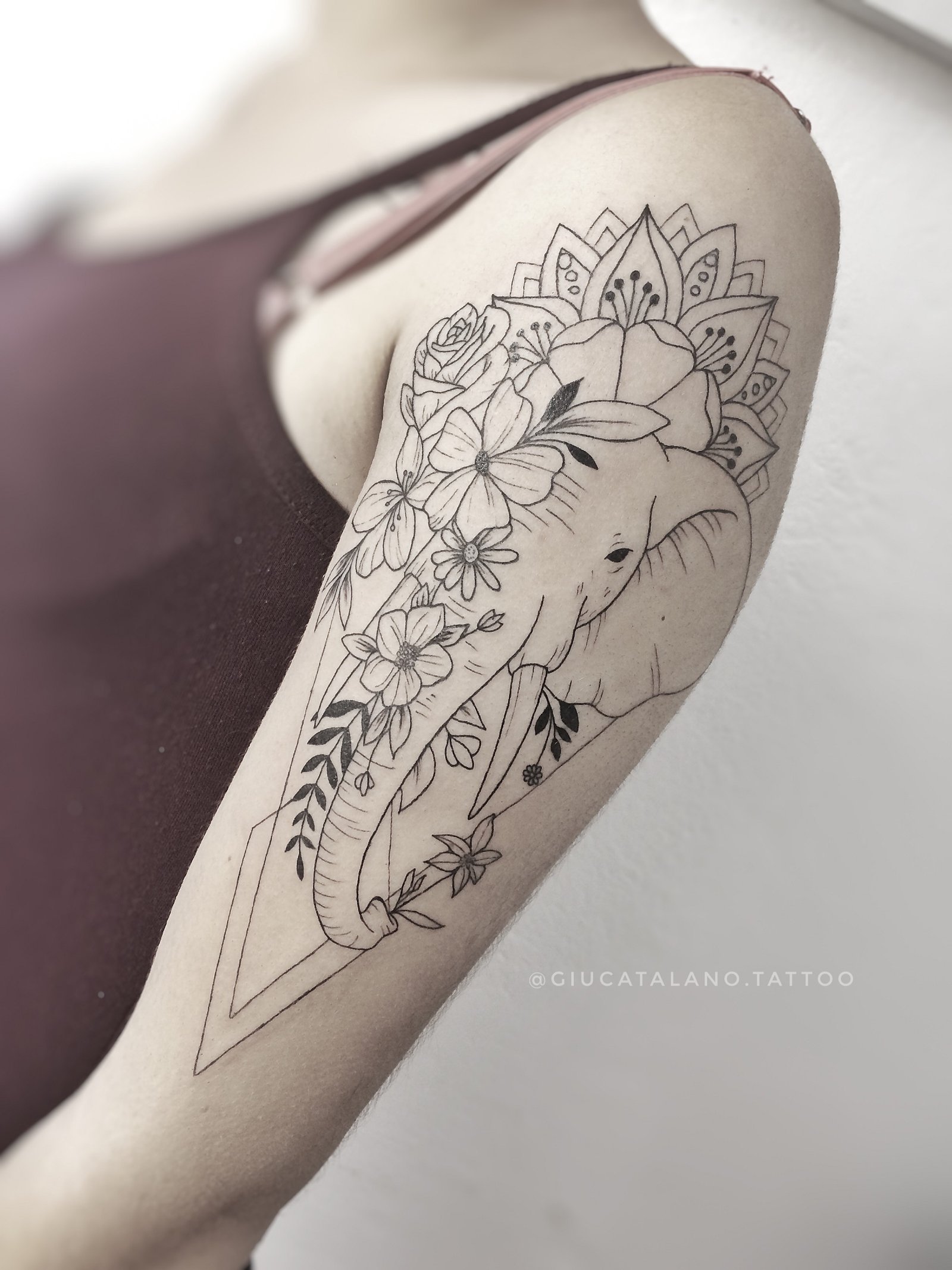 1vsiuqifdeeutaz3ecutkhg 1vsiuqifdeeutaz3ecutkhg