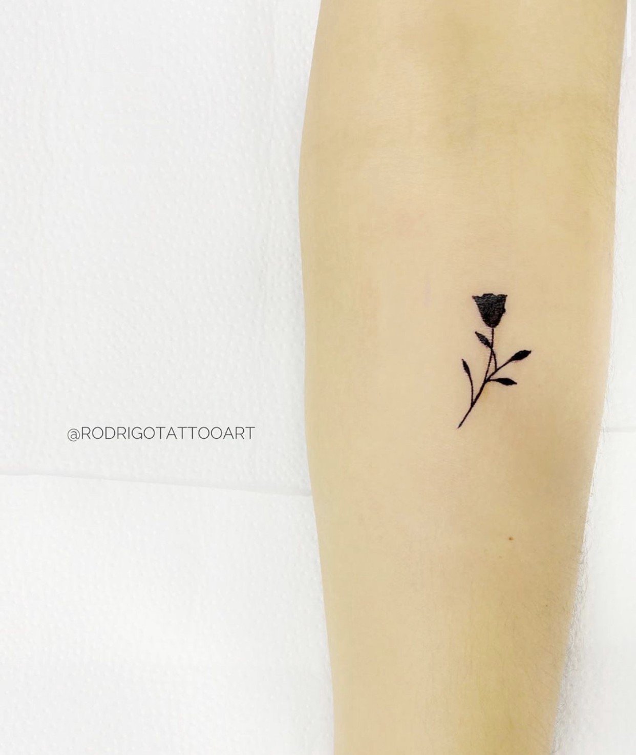 1vsrczw95s_illqkups97ya 1vsrczw95s illqkups97ya