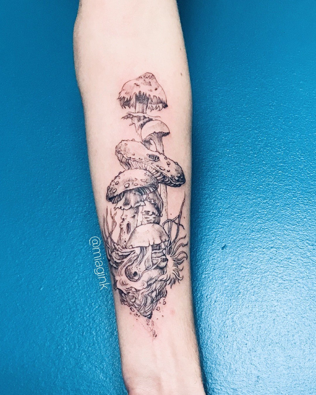 1wawqbmelhrecxd9fw2wb8g