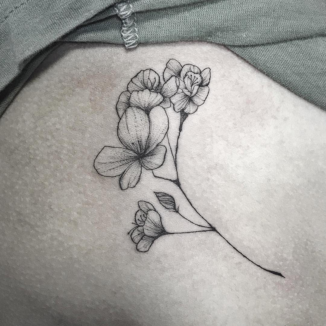 1whkd-dyvsyubv9mfnfvppq 1whkd dyvsyubv9mfnfvppq