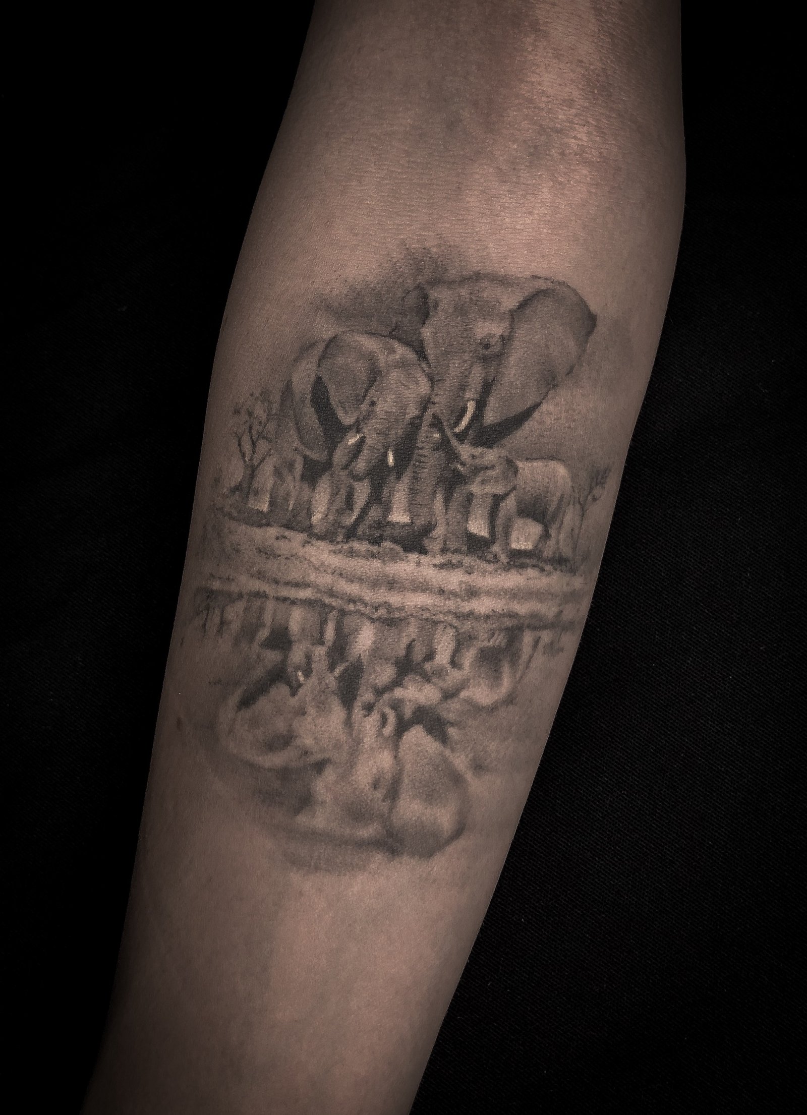 1wo4ld8-2co71wf0eo9txjq 1wo4ld8