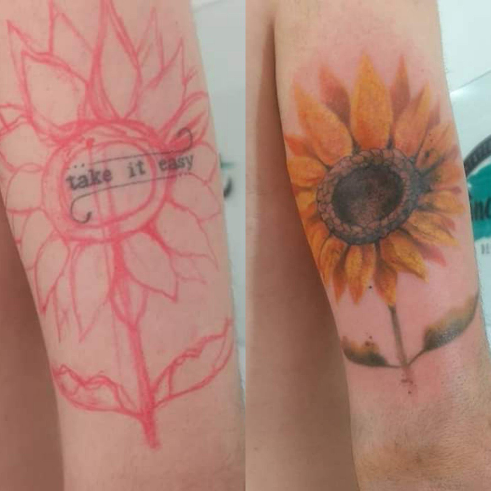 1wyhcjmenafpsfddbwnwn9g