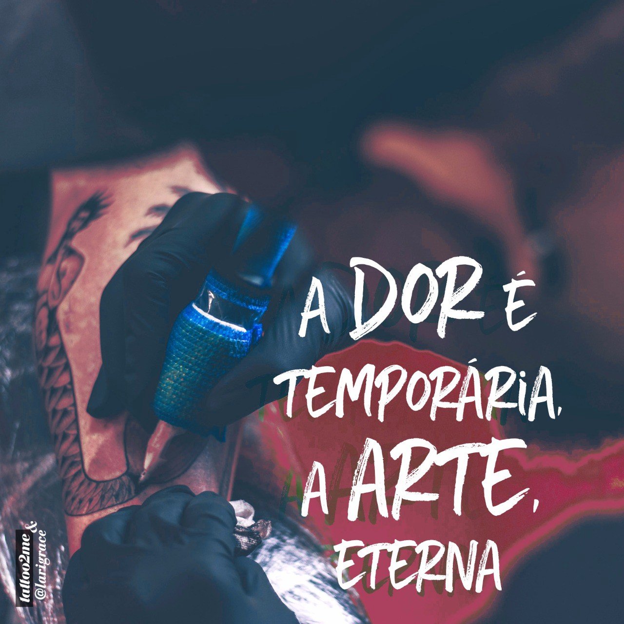 1wzyvzhgtd9bhhxmq8dbrxa