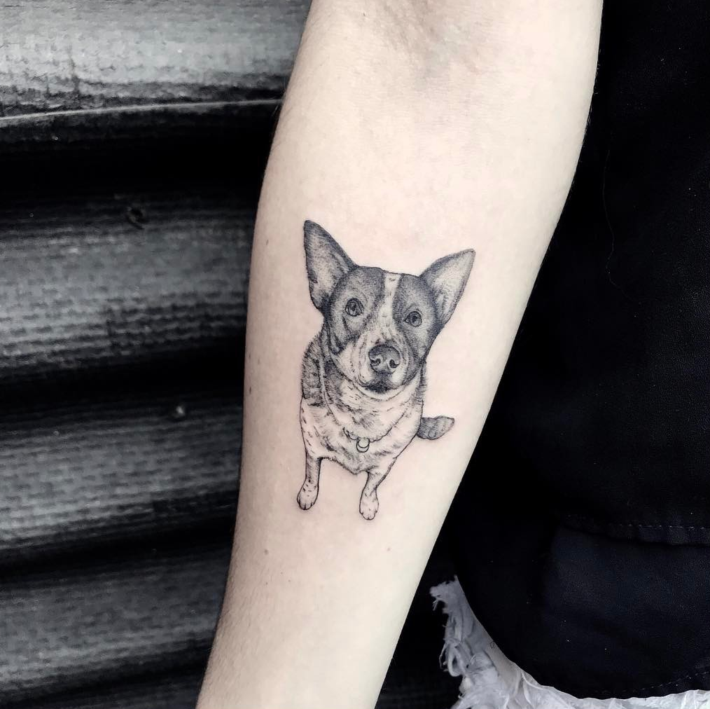 1xn5_9n3zs0va9d04cdunhg