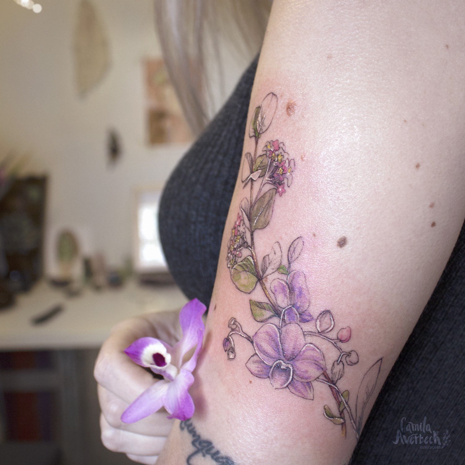 1xta5b6lr7rg3y7hjgr6wuq