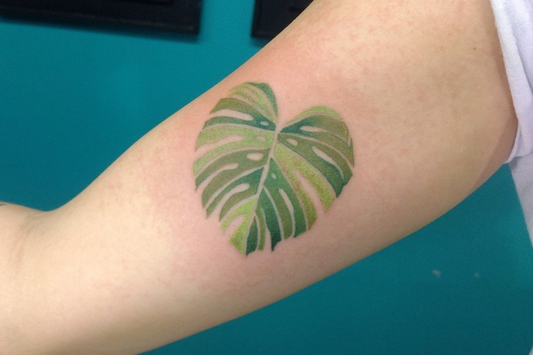 1xwh2vlx2db_yimg1vkxjfa