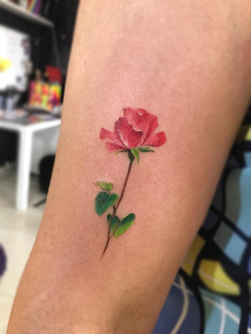 1y6rhxnrdrsesl48gjesrlw