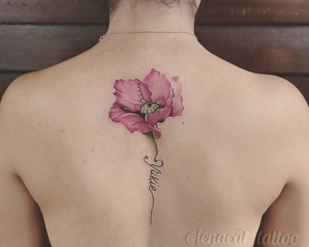 1yngerm0vmrvls8nz4logea 1yngerm0vmrvls8nz4logea