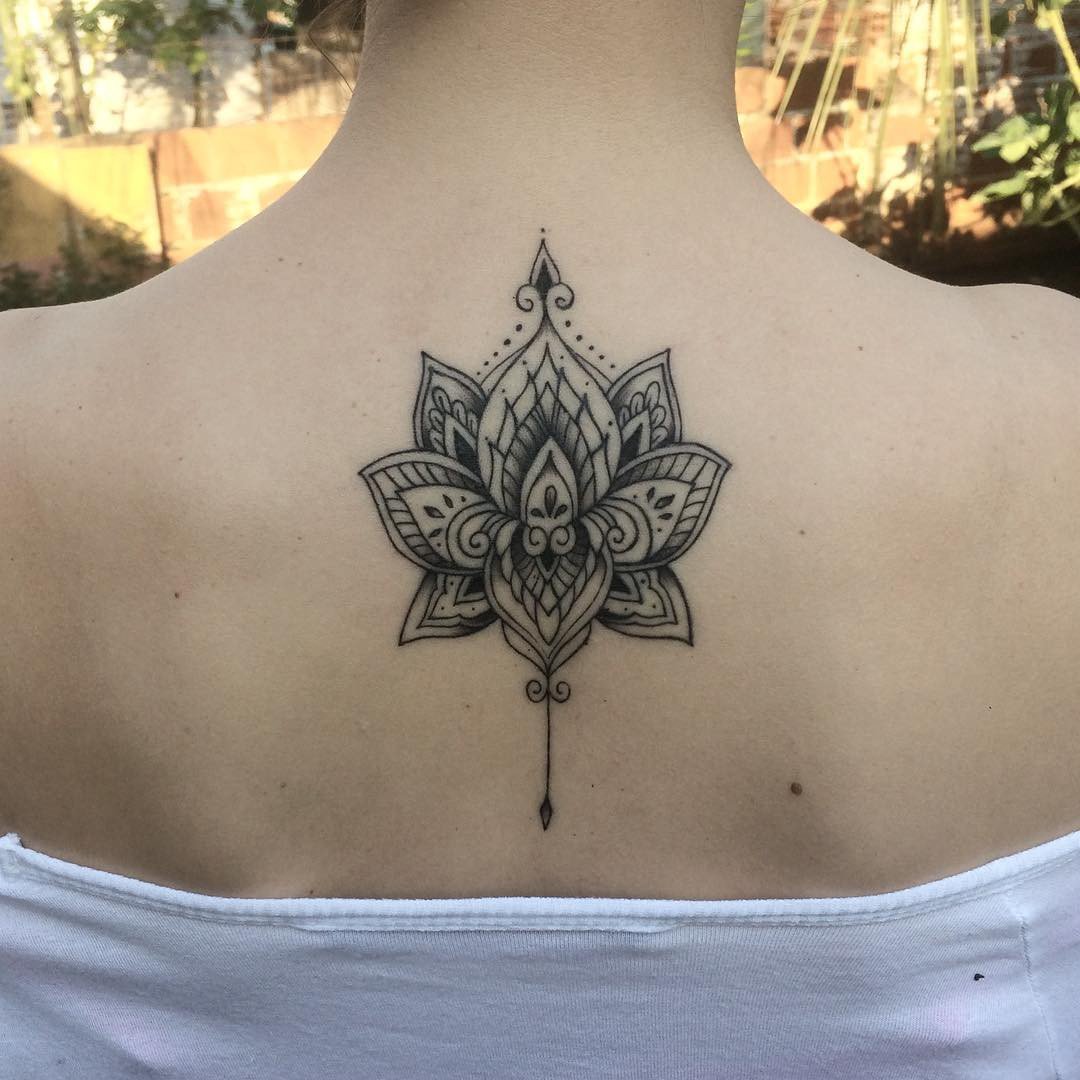 1yrpzszvwl0u44tp2o0plua