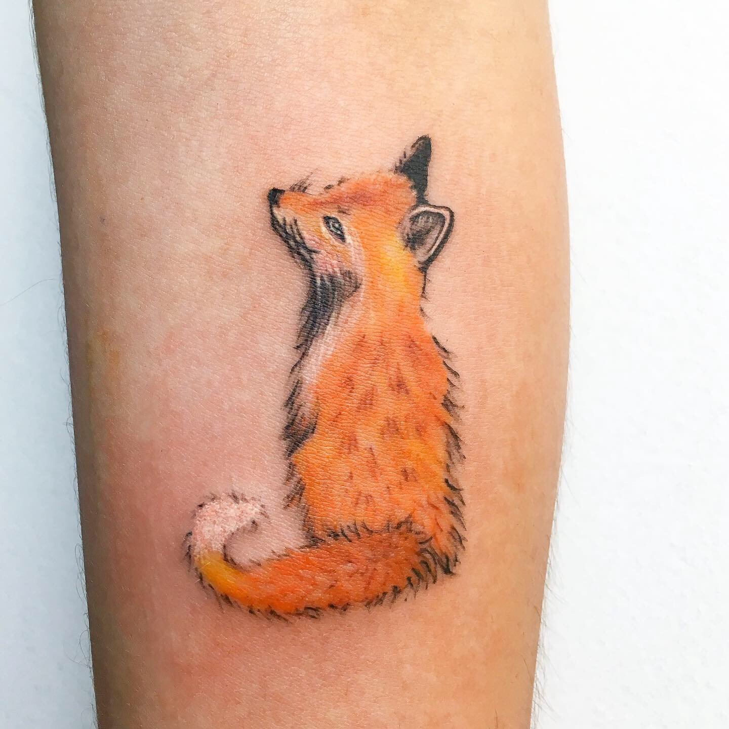 1ysrdcun4mnr_hamp_vzc7q 1ysrdcun4mnr hamp vzc7q