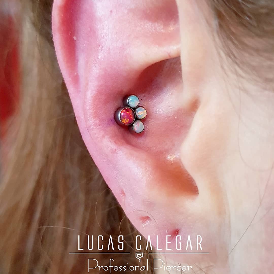 1yzsoyf8a6_h-s_zzukrvdg 1yzsoyf8a6 h s zzukrvdg