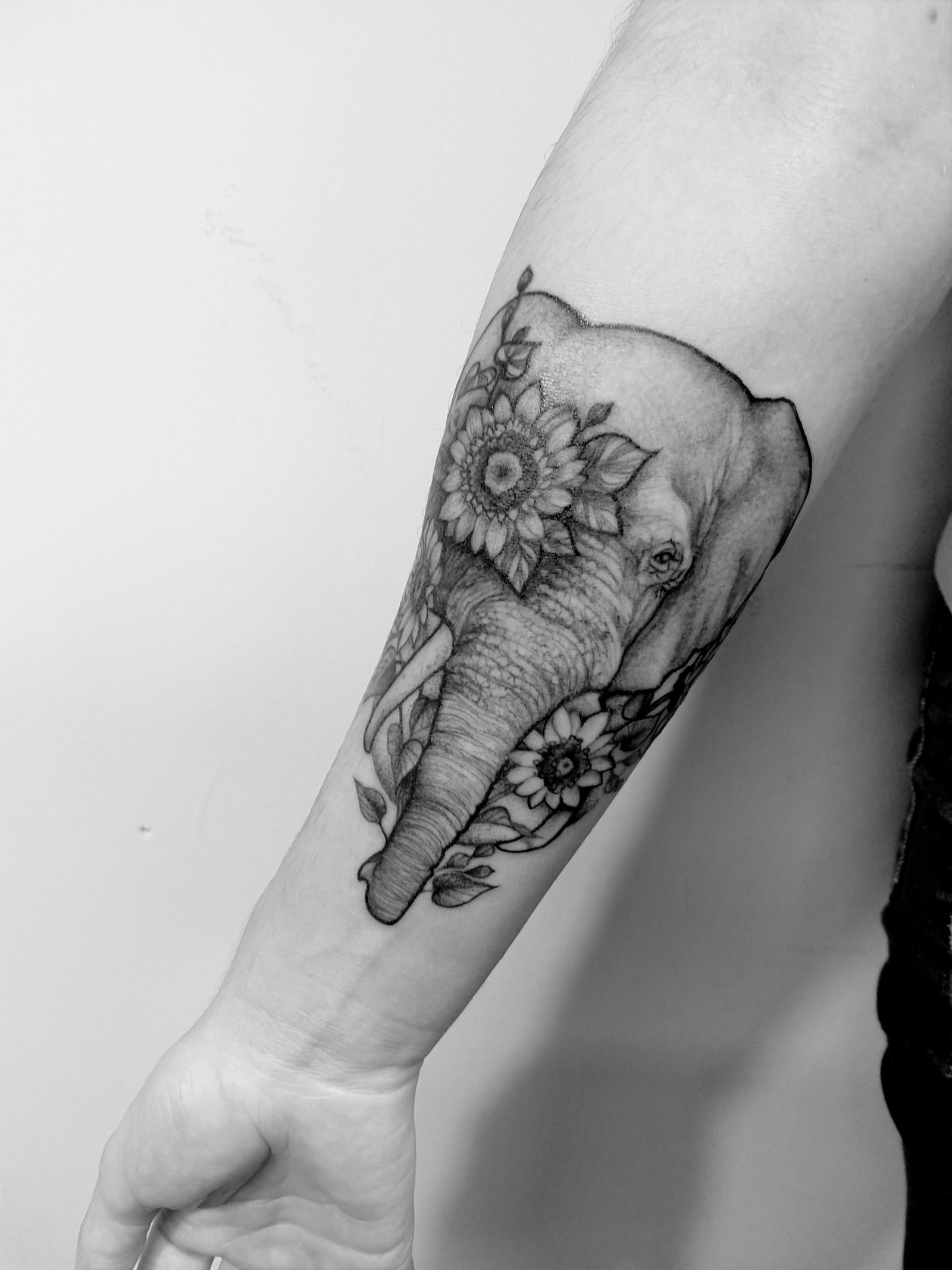 1z0_3_twkscrww6w6awxx3w