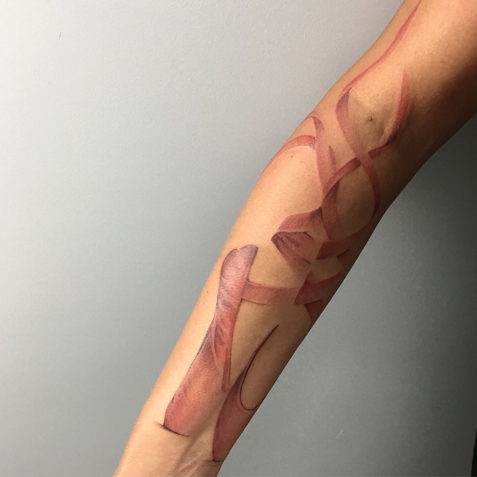 1z4wlballq_2hiz2jedfqqg 1z4wlballq 2hiz2jedfqqg