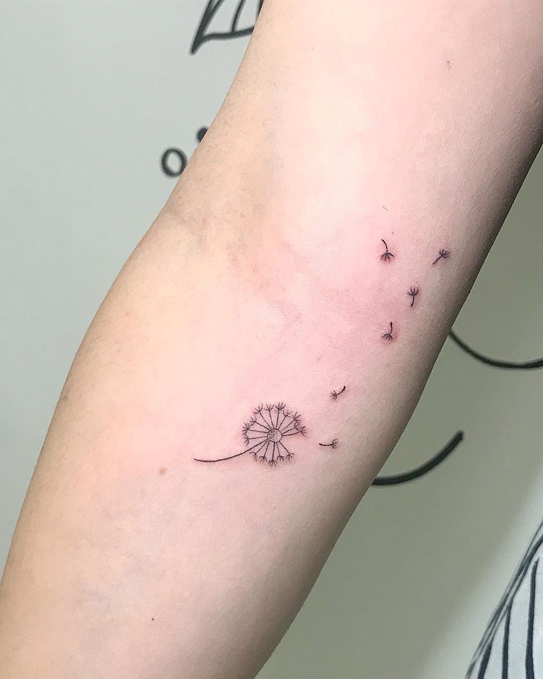 1ze4dpnwwhw5_5eukiya3eg 1ze4dpnwwhw5 5eukiya3eg