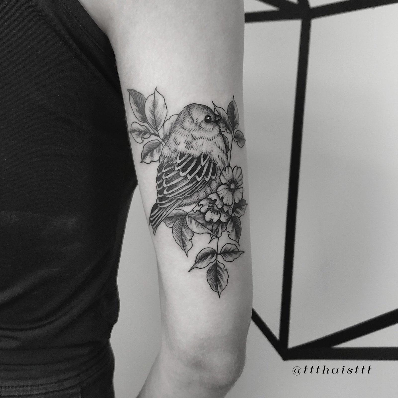 1zp2dnthysv-c4ygnumcj3a 1zp2dnthysv c4ygnumcj3a