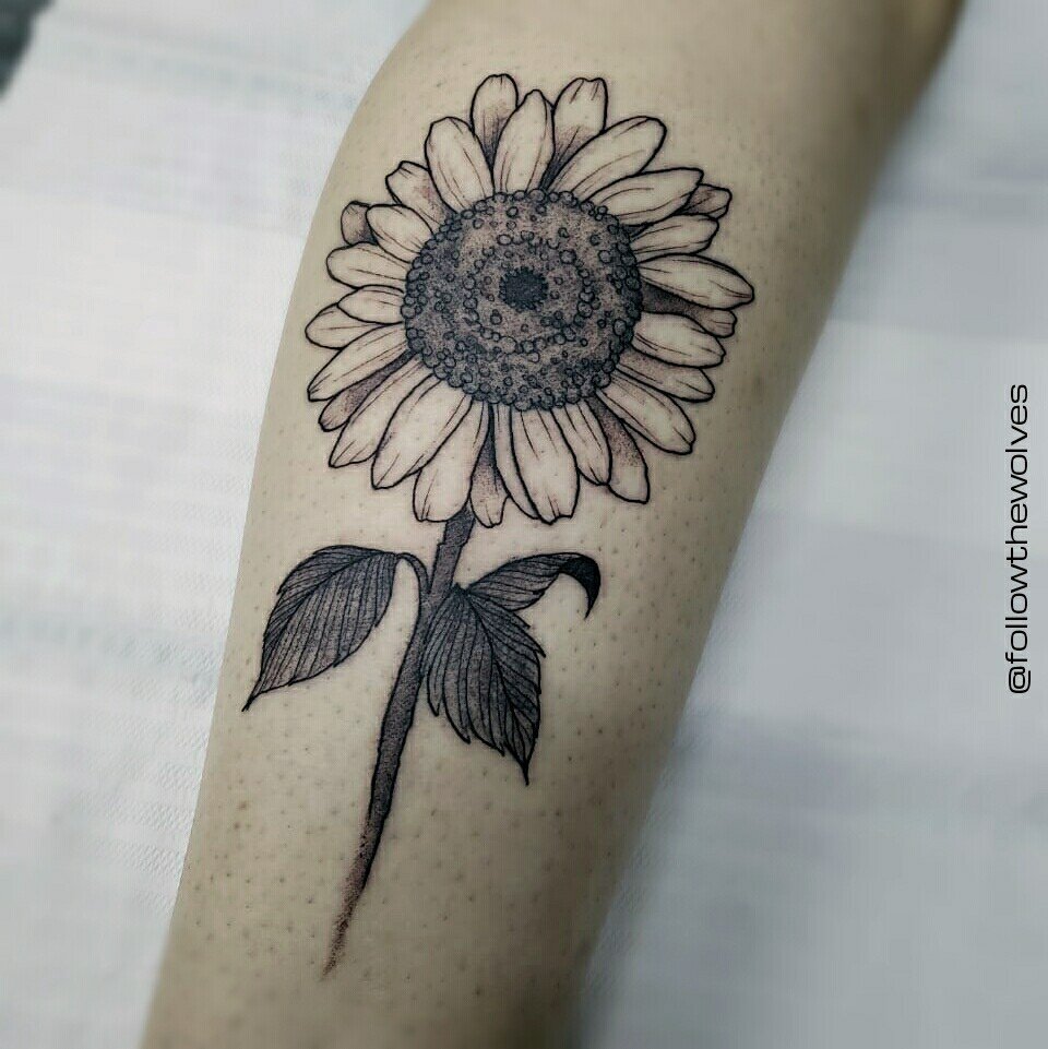 1zyxux8xzl1p9ho9-qjn8xq 1zyxux8xzl1p9ho9