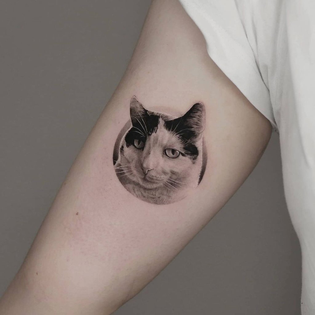 w1024-1330 w1024 1330