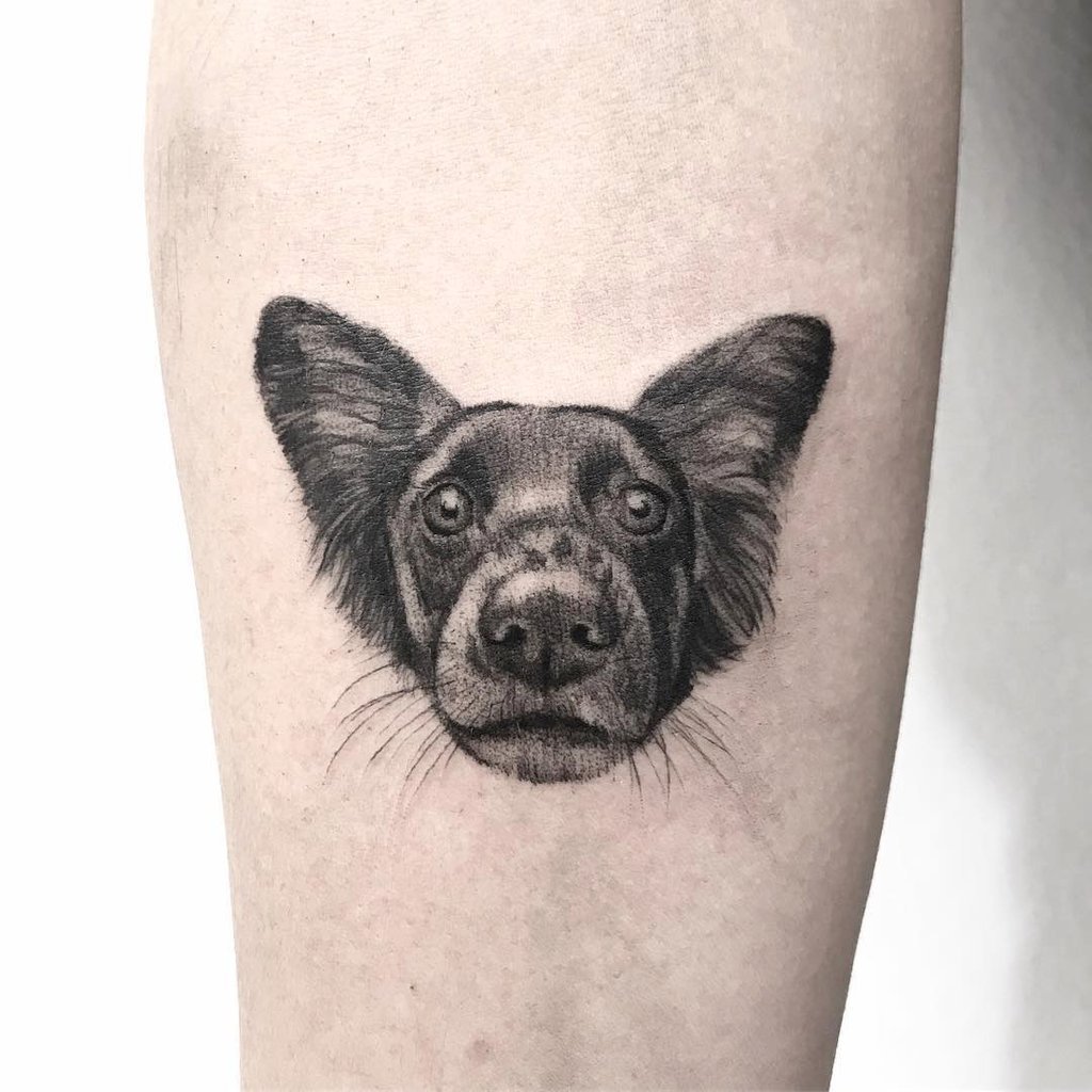 w1024-1364 w1024 1364