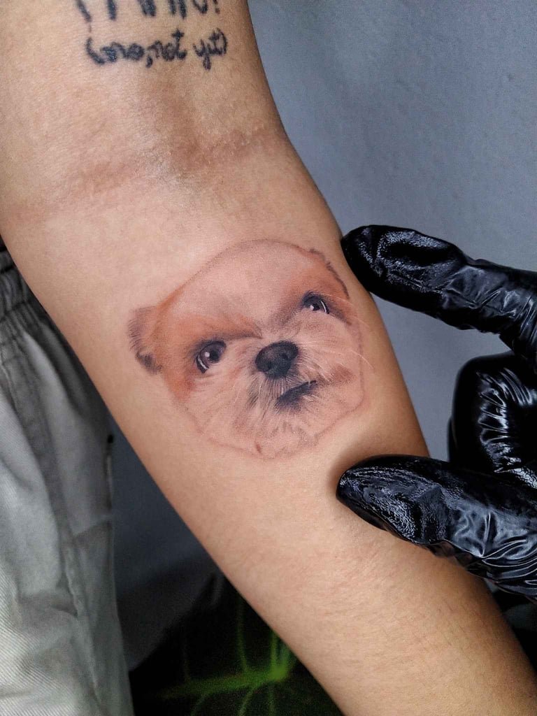 Foto de tatuagem feita por Bianca França (@biancatattoos)
