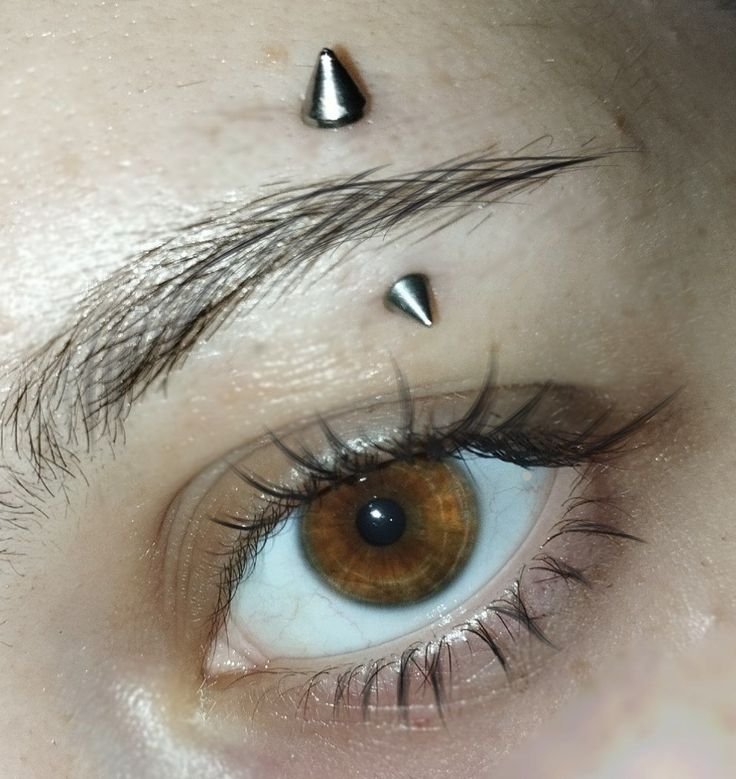 piercing-na-sobrancelha-13 piercing na sobrancelha 13