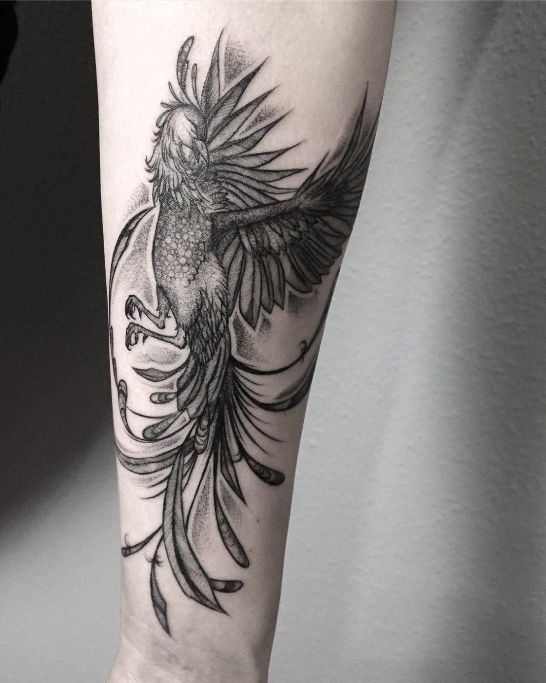 significado da tatuagem fenix 11