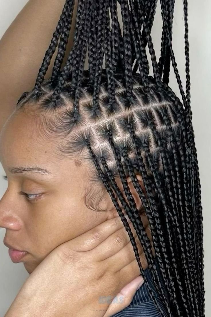 trancas-box-braids02 trancas box braids02