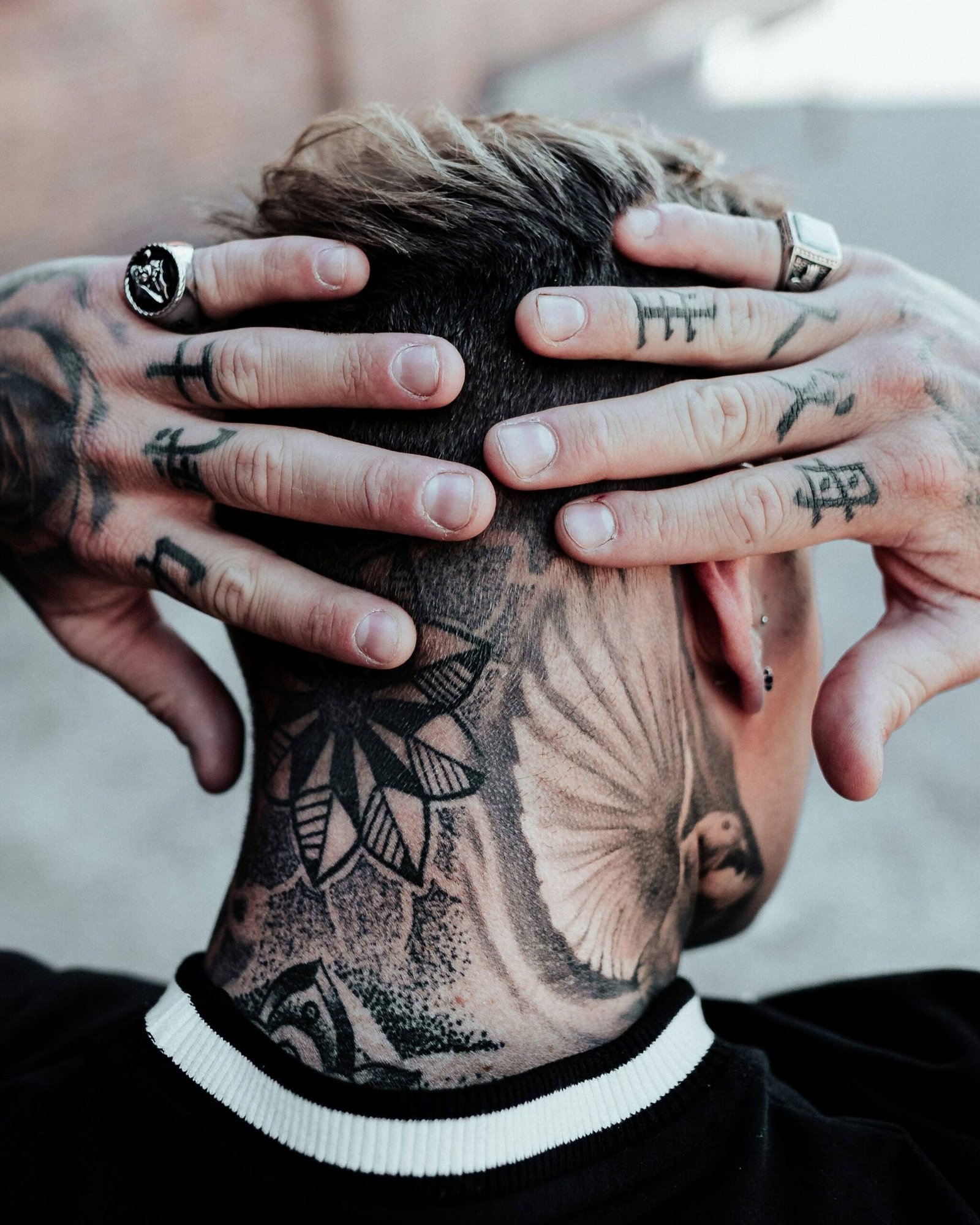 home tatua7 scaled